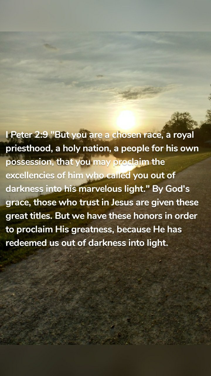 I Peter 2:9 "But you are a chosen race, a royal priesthood, a holy nation, a people for his own possession, that you may proclaim the excellencies of him who called you out of darkness into his marvelous light." By God's grace, those who trust in Jesus are given these great titles. But we have these honors in order to proclaim His greatness, because He has redeemed us out of darkness into light.