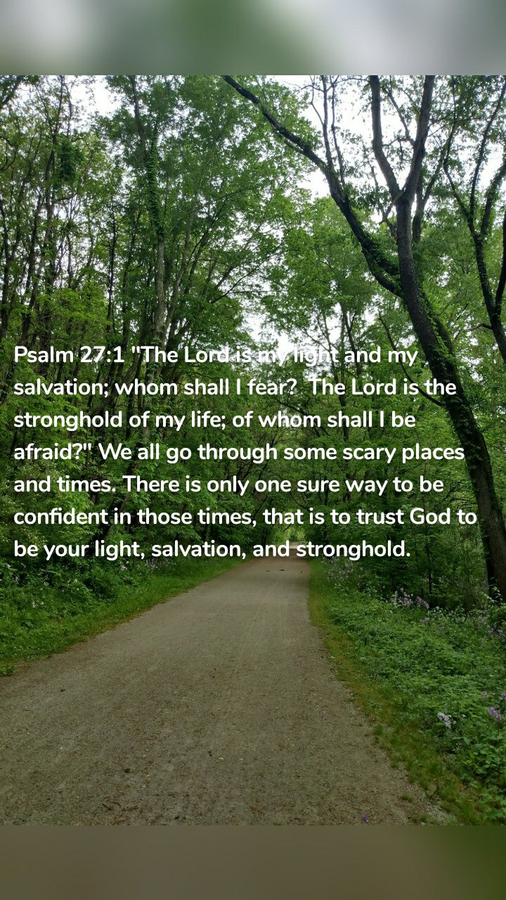 Psalm 27:1 "The Lord is my light and my salvation; whom shall I fear?  The Lord is the stronghold of my life; of whom shall I be afraid?" We all go through some scary places and times. There is only one sure way to be confident in those times, that is to trust God to be your light, salvation, and stronghold. 