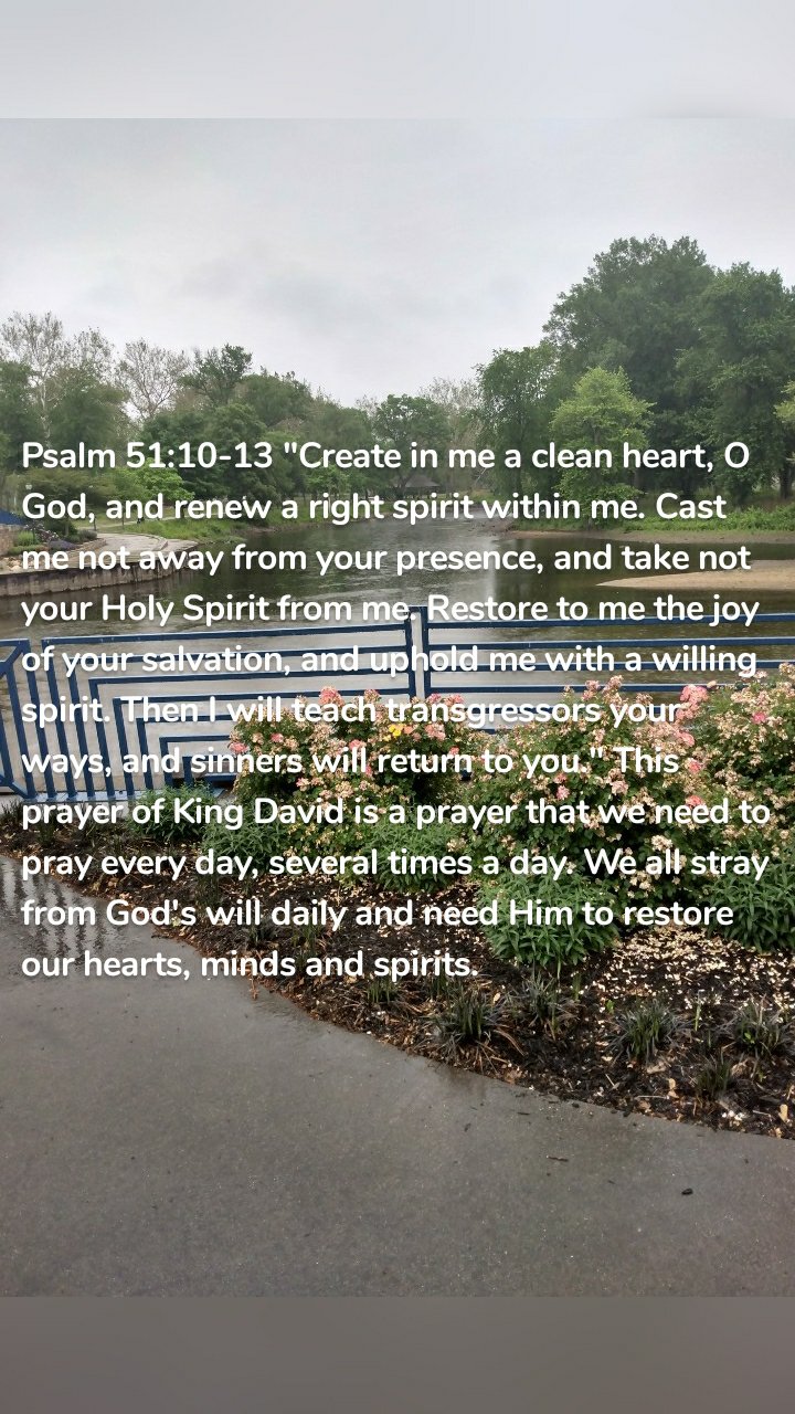 Psalm 51:10-13 "Create in me a clean heart, O God, and renew a right spirit within me. Cast me not away from your presence, and take not your Holy Spirit from me. Restore to me the joy of your salvation, and uphold me with a willing spirit. Then I will teach transgressors your ways, and sinners will return to you." This prayer of King David is a prayer that we need to pray every day, several times a day. We all stray from God's will daily and need Him to restore our hearts, minds and spirits. 