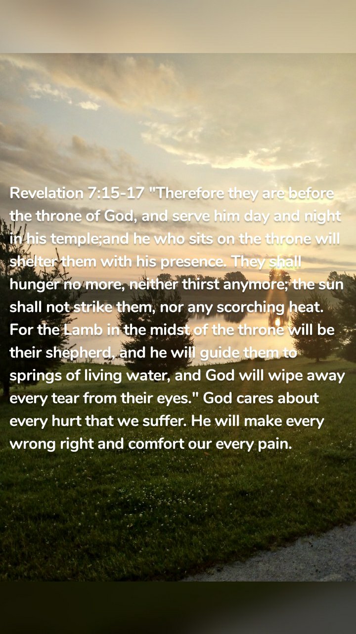 Revelation 7:15-17 "Therefore they are before the throne of God, and serve him day and night in his temple;and he who sits on the throne will shelter them with his presence. They shall hunger no more, neither thirst anymore; the sun shall not strike them, nor any scorching heat. For the Lamb in the midst of the throne will be their shepherd, and he will guide them to springs of living water, and God will wipe away every tear from their eyes." God cares about every hurt that we suffer. He will make every wrong right and comfort our every pain. 