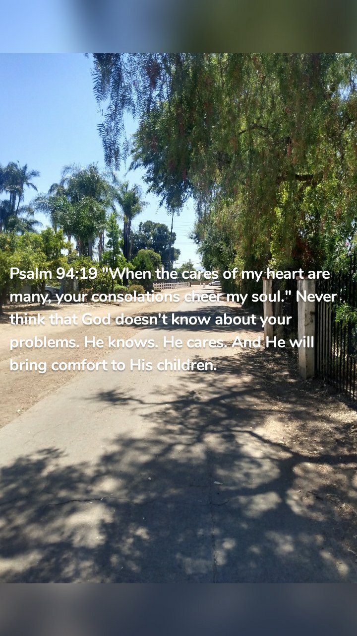 Psalm 94:19 "When the cares of my heart are many, your consolations cheer my soul." Never think that God doesn't know about your problems. He knows. He cares. And He will bring comfort to His children. 