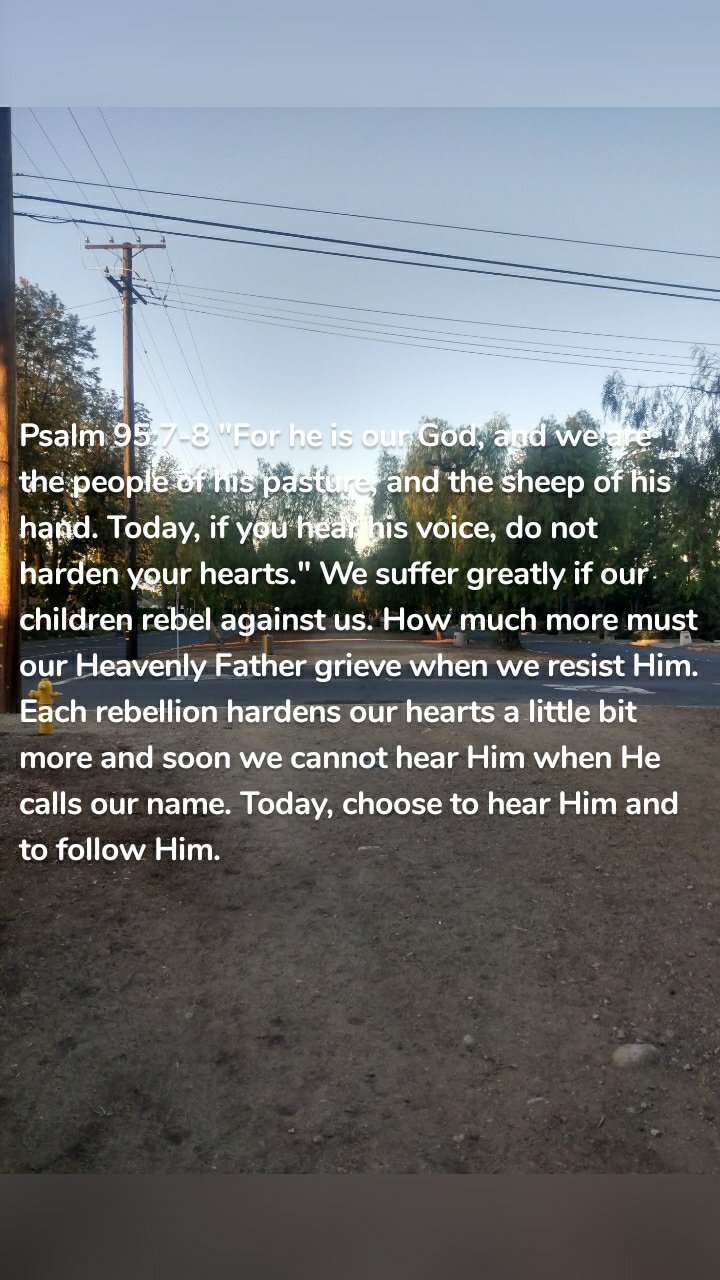 Psalm 95:7-8 "For he is our God, and we are the people of his pasture, and the sheep of his hand. Today, if you hear his voice, do not harden your hearts." We suffer greatly if our children rebel against us. How much more must our Heavenly Father grieve when we resist Him. Each rebellion hardens our hearts a little bit more and soon we cannot hear Him when He calls our name. Today, choose to hear Him and to follow Him. 