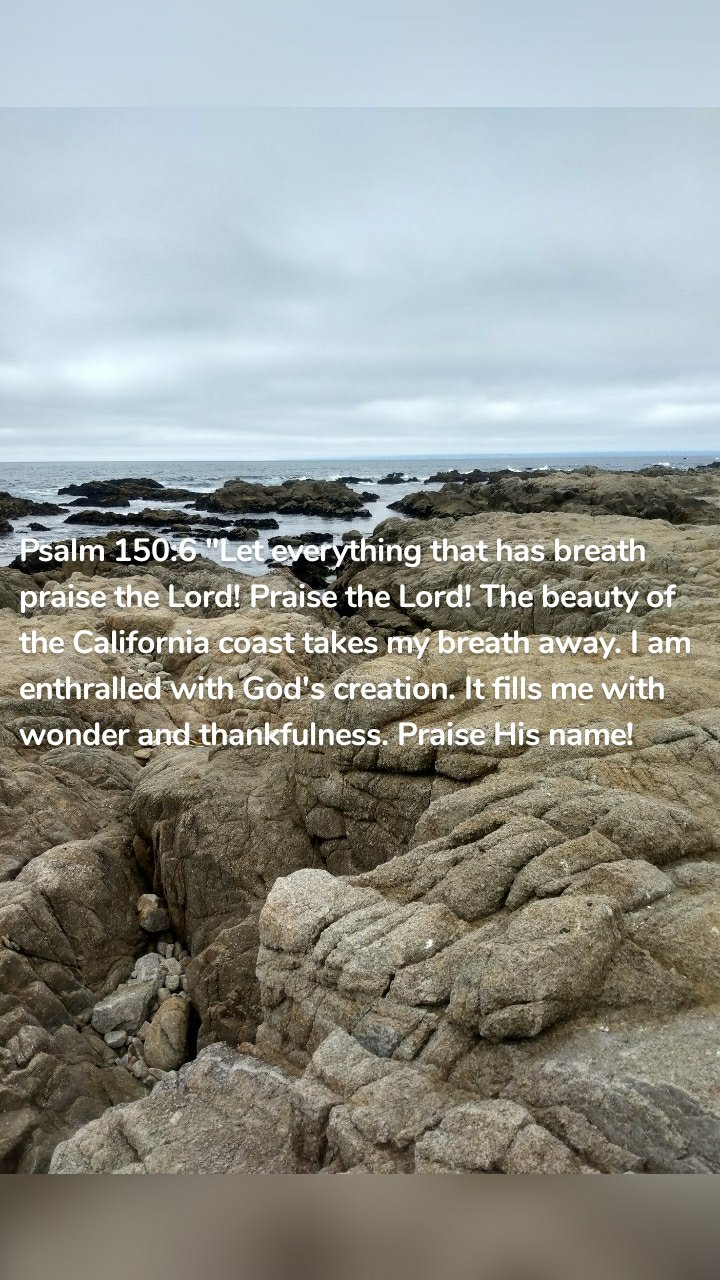 Psalm 150:6 "Let everything that has breath praise the Lord! Praise the Lord! The beauty of the California coast takes my breath away. I am enthralled with God's creation. It fills me with wonder and thankfulness. Praise His name! 