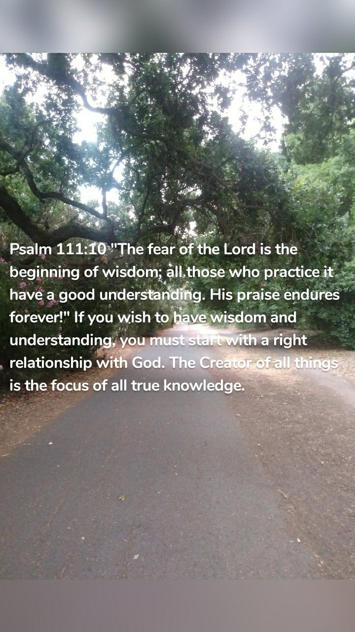 Psalm 111:10 "The fear of the Lord is the beginning of wisdom; all those who practice it have a good understanding. His praise endures forever!" If you wish to have wisdom and understanding, you must start with a right relationship with God. The Creator of all things is the focus of all true knowledge. 
