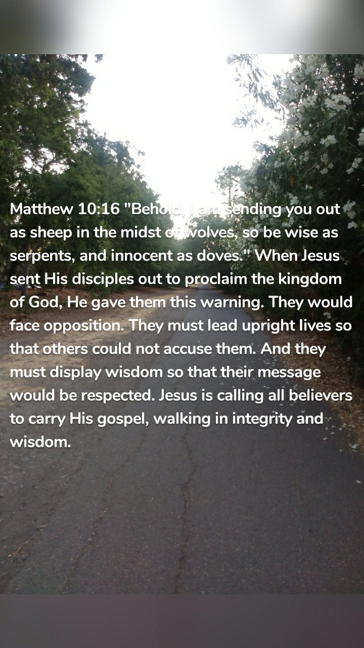 Matthew 10:16 "Behold, I am sending you out as sheep in the midst of wolves, so be wise as serpents, and innocent as doves." When Jesus sent His disciples out to proclaim the kingdom of God, He gave them this warning. They would face opposition. They must lead upright Iives so that others could not accuse them. And they must display wisdom so that their message would be respected. Jesus is calling all believers to carry His gospel, walking in integrity and wisdom. 
