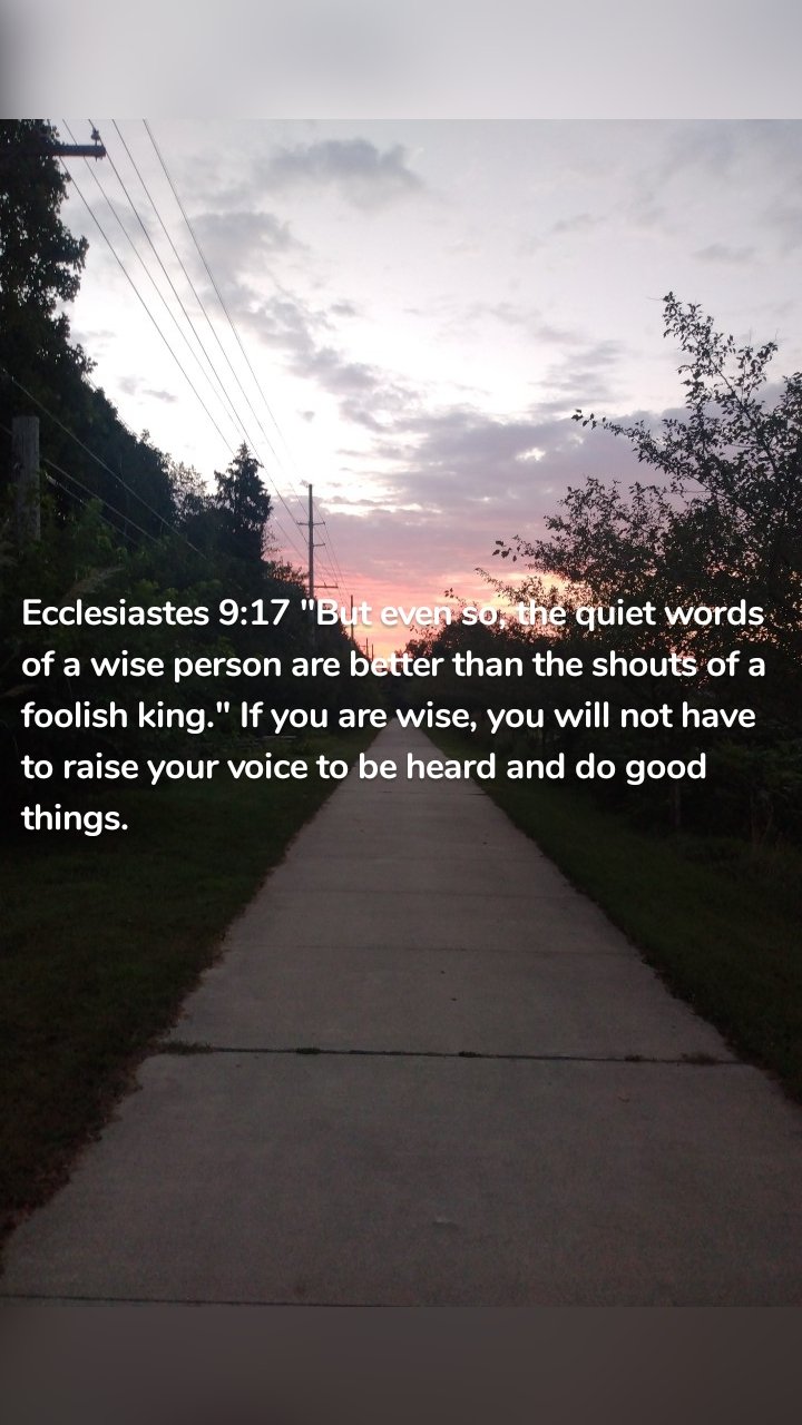 Ecclesiastes 9:17 "But even so, the quiet words of a wise person are better than the shouts of a foolish king." If you are wise, you will not have to raise your voice to be heard and do good things. 