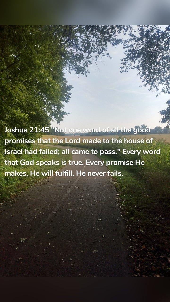 Joshua 21:45 "Not one word of all the good promises that the Lord made to the house of Israel had failed; all came to pass." Every word that God speaks is true. Every promise He makes, He will fulfill. He never fails. 