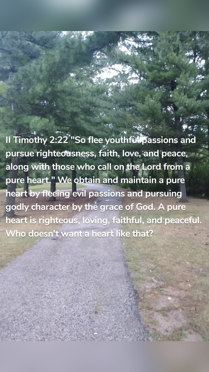 II Timothy 2:22 "So flee youthful passions and pursue righteousness, faith, love, and peace, along with those who call on the Lord from a pure heart." We obtain and maintain a pure heart by fleeing evil passions and pursuing godly character by the grace of God. A pure heart is righteous, loving, faithful, and peaceful. Who doesn't want a heart like that? 