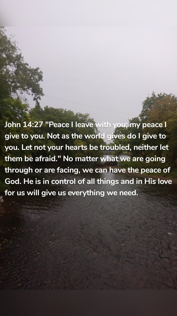 John 14:27 "Peace I leave with you; my peace I give to you. Not as the world gives do I give to you. Let not your hearts be troubled, neither let them be afraid." No matter what we are going through or are facing, we can have the peace of God. He is in control of all things and in His love for us will give us everything we need. 