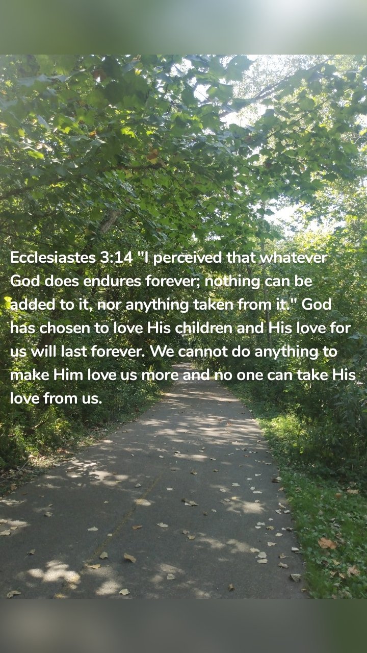 Ecclesiastes 3:14 "I perceived that whatever God does endures forever; nothing can be added to it, nor anything taken from it." God has chosen to love His children and His love for us will last forever. We cannot do anything to make Him love us more and no one can take His love from us. 