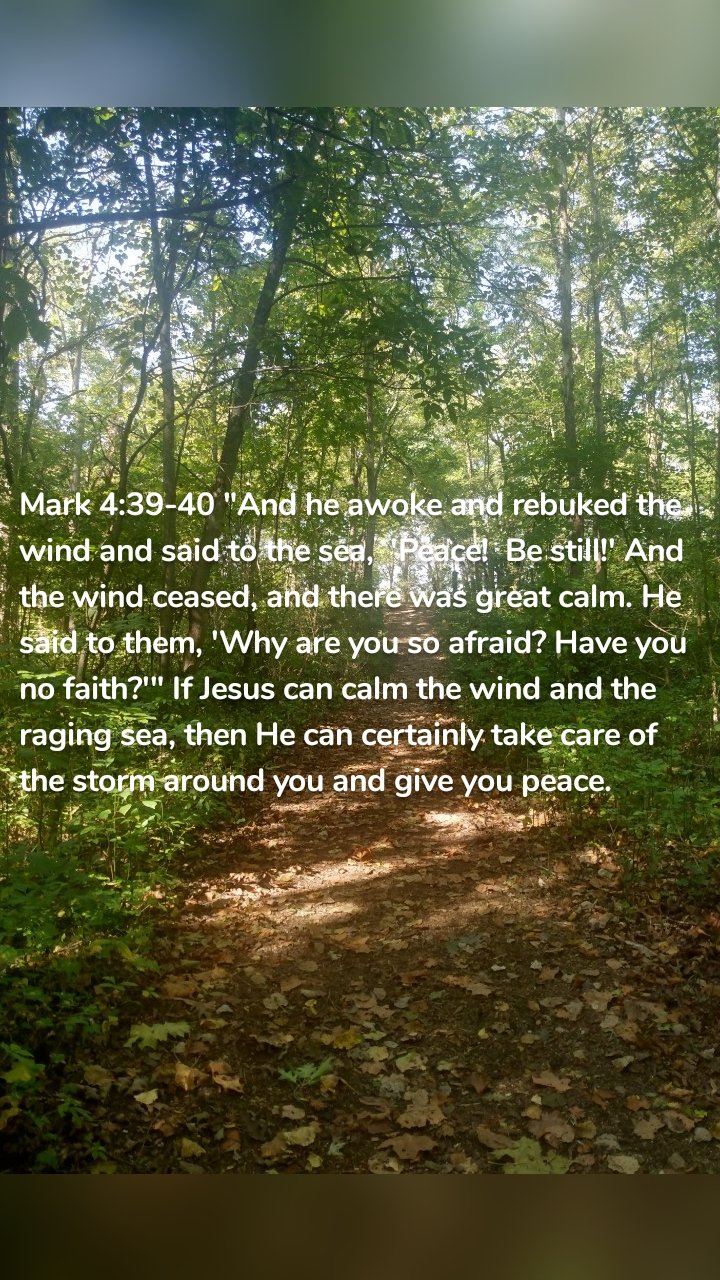 Mark 4:39-40 "And he awoke and rebuked the wind and said to the sea, 'Peace! Be still!' And the wind ceased, and there was great calm. He said to them, 'Why are you so afraid? Have you no faith?'" If Jesus can calm the wind and the raging sea, then He can certainly take care of the storm around you and give you peace.