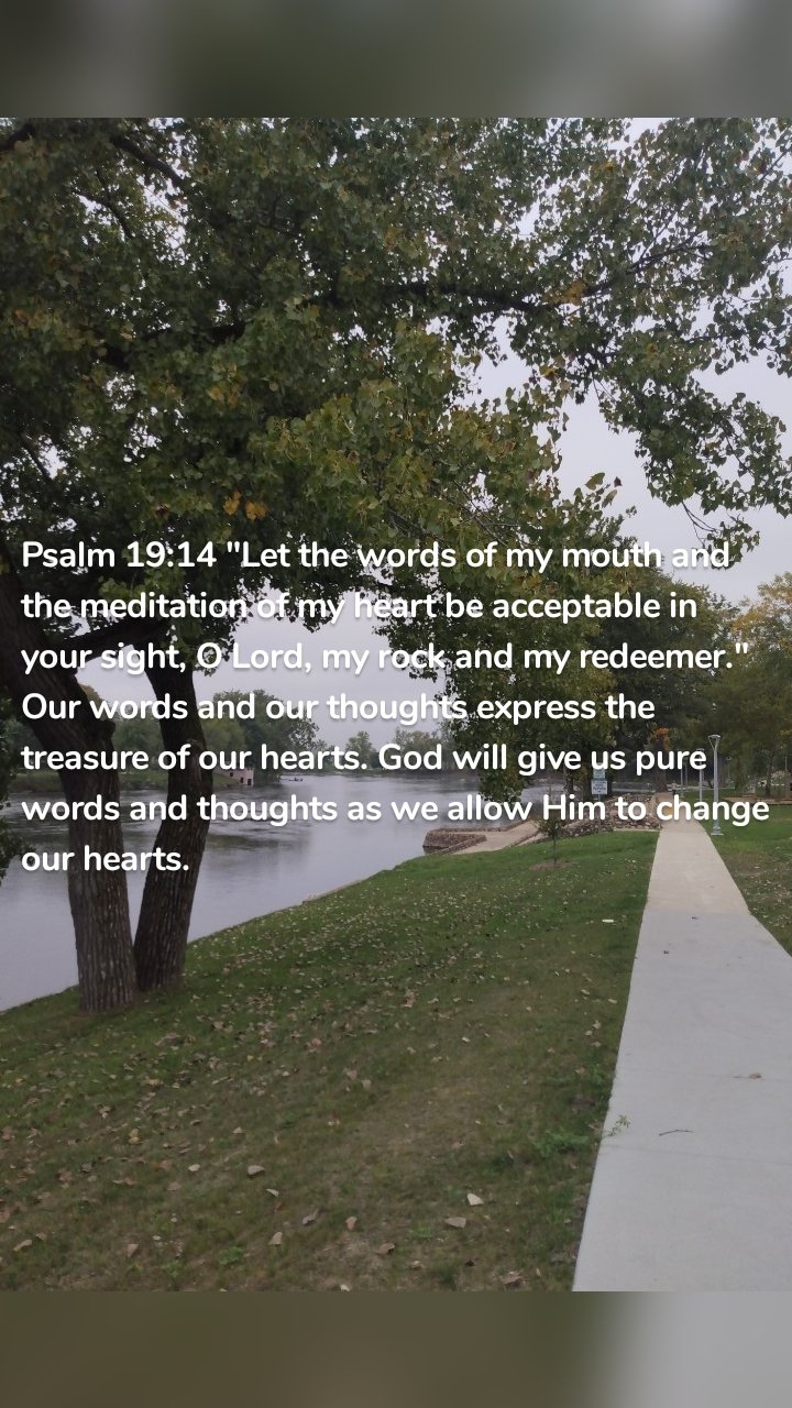 Psalm 19:14 "Let the words of my mouth and the meditation of my heart be acceptable in your sight, O Lord, my rock and my redeemer." Our words and our thoughts express the treasure of our hearts. God will give us pure words and thoughts as we allow Him to change our hearts.