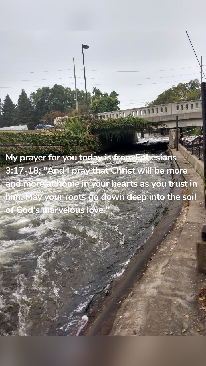 My prayer for you today is from Ephesians 3:17-18; "And I pray that Christ will be more and more at home in your hearts as you trust in him. May your roots go down deep into the soil of God's marvelous love."