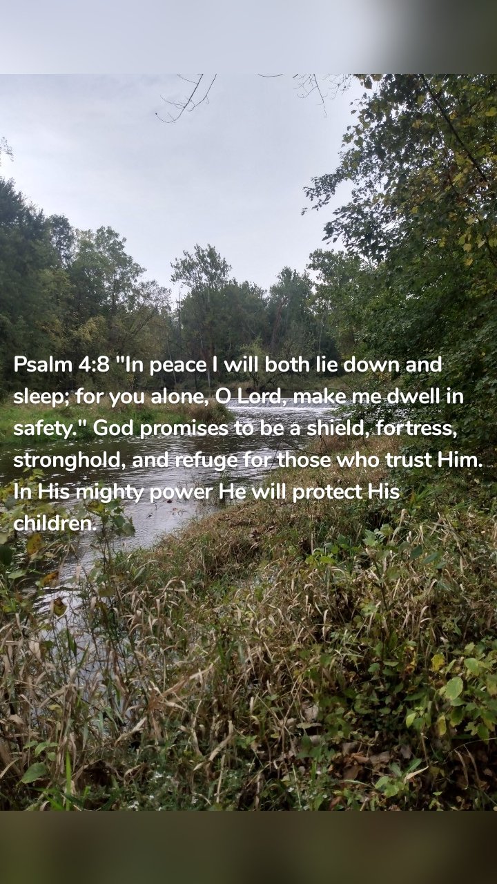 Psalm 4:8 "In peace I will both lie down and sleep; for you alone, O Lord, make me dwell in safety." God promises to be a shield, fortress, stronghold, and refuge for those who trust Him. In His mighty power He will protect His children.