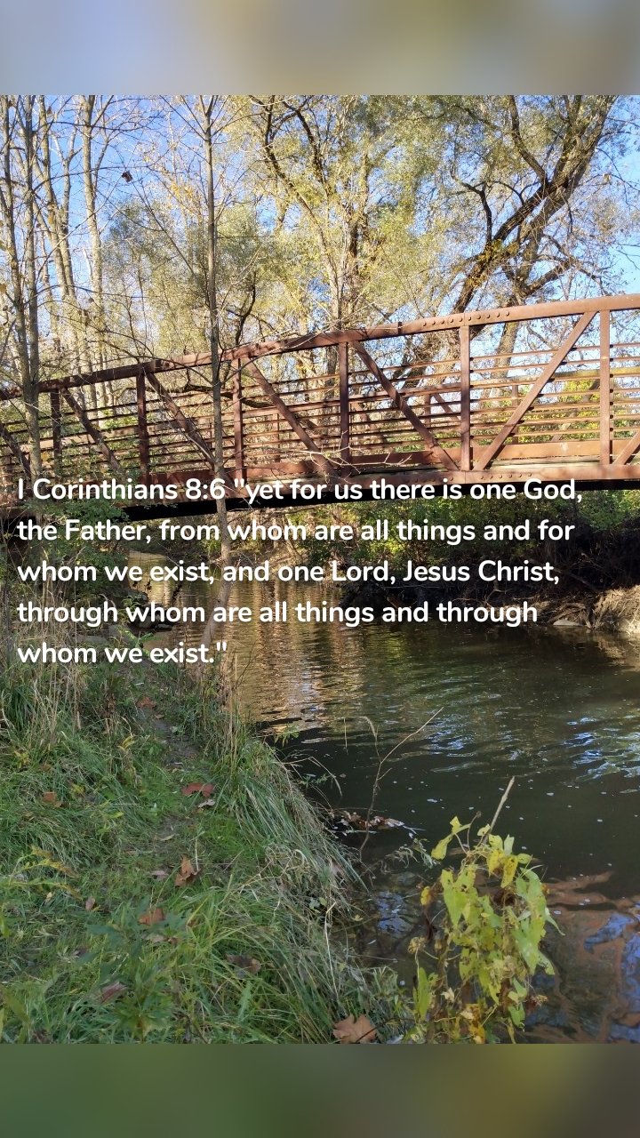 I Corinthians 8:6 "yet for us there is one God, the Father, from whom are all things and for whom we exist, and one Lord, Jesus Christ, through whom are all things and through whom we exist." 