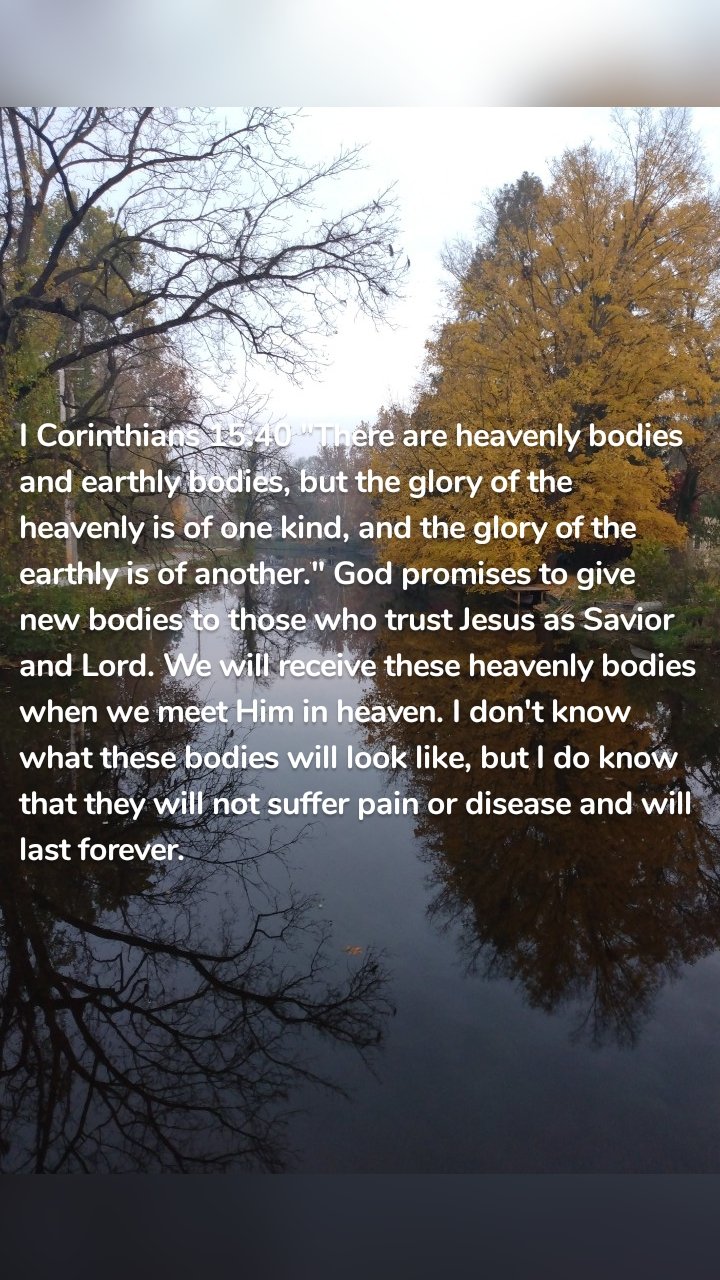 I Corinthians 15:40 "There are heavenly bodies and earthly bodies, but the glory of the heavenly is of one kind, and the glory of the earthly is of another." God promises to give new bodies to those who trust Jesus as Savior and Lord. We will receive these heavenly bodies when we meet Him in heaven. I don't know what these bodies will look like, but I do know that they will not suffer pain or disease and will last forever. 