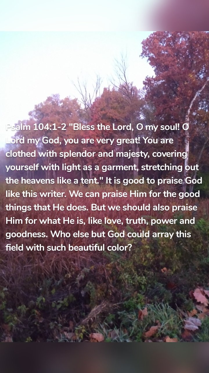Psalm 104:1-2 "Bless the Lord, O my soul! O Lord my God, you are very great! You are clothed with splendor and majesty, covering yourself with light as a garment, stretching out the heavens like a tent." It is good to praise God like this writer. We can praise Him for the good things that He does. But we should also praise Him for what He is, like love, truth, power and goodness. Who else but God could array this field with such beautiful color? 