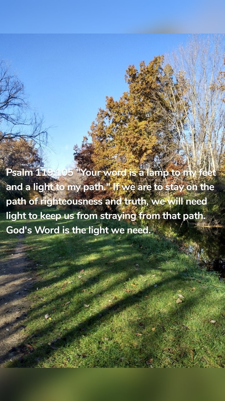 Psalm 119:105 "Your word is a lamp to my feet and a light to my path." If we are to stay on the path of righteousness and truth, we will need light to keep us from straying from that path. God's Word is the light we need. 