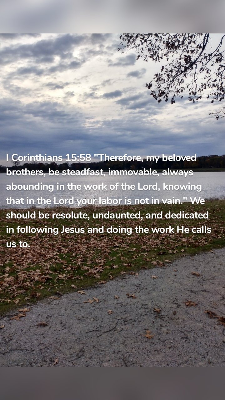I Corinthians 15:58 "Therefore, my beloved brothers, be steadfast, immovable, always abounding in the work of the Lord, knowing that in the Lord your labor is not in vain." We should be resolute, undaunted, and dedicated in following Jesus and doing the work He calls us to.