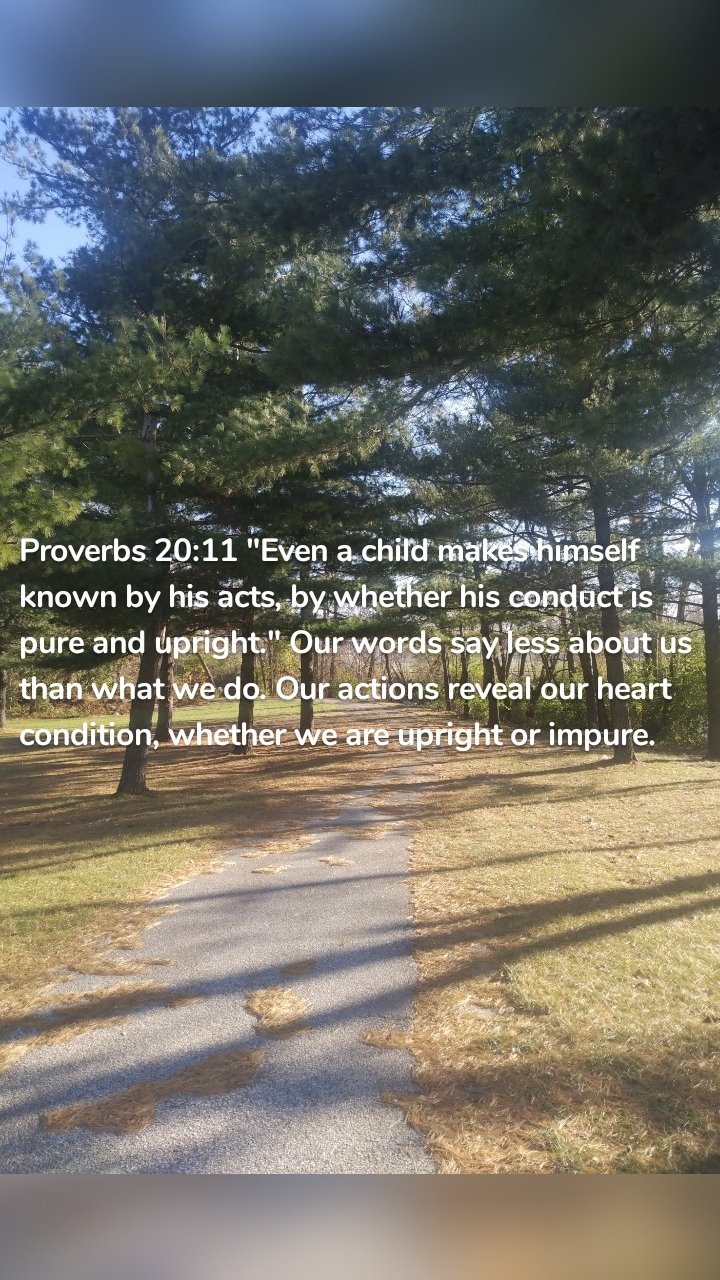 Proverbs 20:11 "Even a child makes himself known by his acts, by whether his conduct is pure and upright." Our words say less about us than what we do. Our actions reveal our heart condition, whether we are upright or impure. 