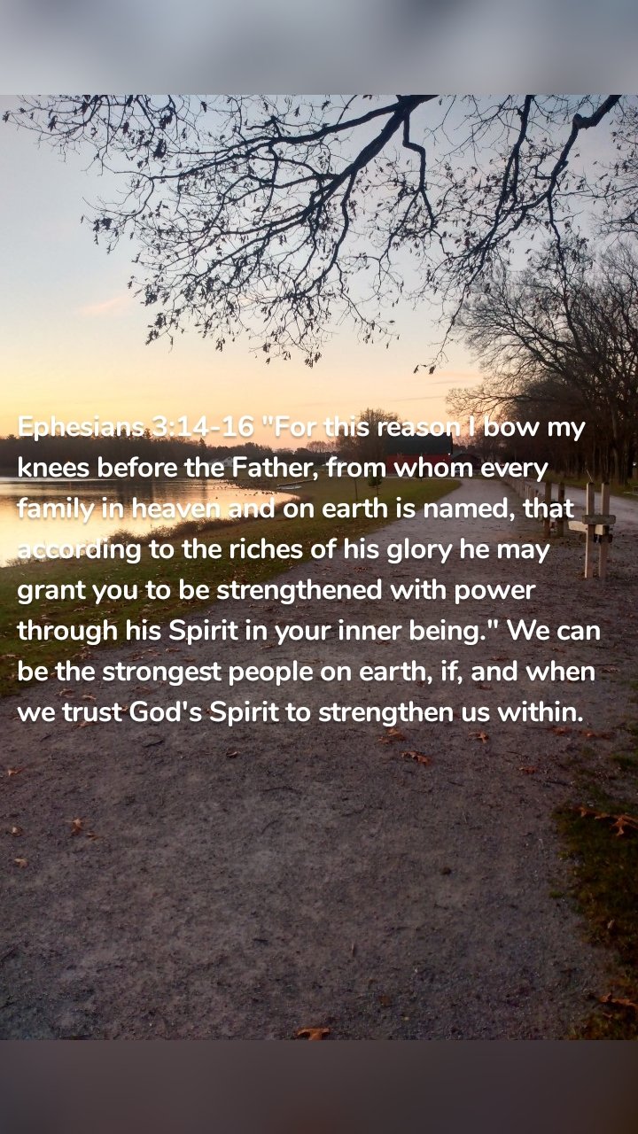 Ephesians 3:14-16 "For this reason I bow my knees before the Father, from whom every family in heaven and on earth is named, that according to the riches of his glory he may grant you to be strengthened with power through his Spirit in your inner being." We can be the strongest people on earth, if, and when we trust God's Spirit to strengthen us within.