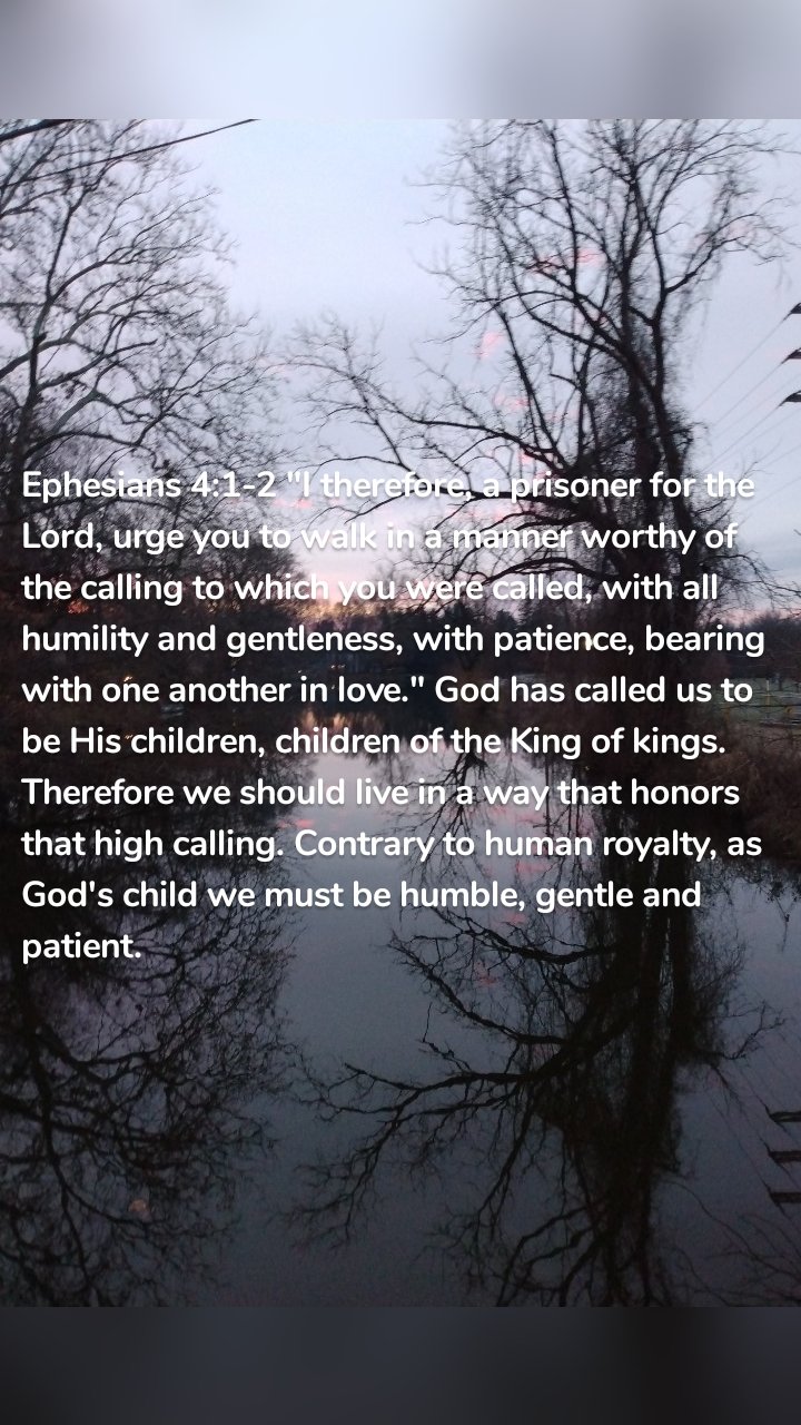Ephesians 4:1-2 "I therefore, a prisoner for the Lord, urge you to walk in a manner worthy of the calling to which you were called, with all humility and gentleness, with patience, bearing with one another in love." God has called us to be His children, children of the King of kings. Therefore we should live in a way that honors that high calling. Contrary to human royalty, as God's child we must be humble, gentle and patient.