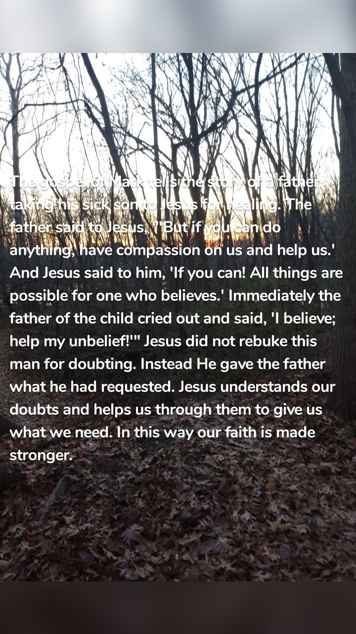 The gospel of Mark tells the story of a father taking his sick son to Jesus for healing. The father said to Jesus, "'But if you can do anything, have compassion on us and help us.' And Jesus said to him, 'If you can! All things are possible for one who believes.' Immediately the father of the child cried out and said, 'I believe; help my unbelief!'" Jesus did not rebuke this man for doubting. Instead He gave the father what he had requested. Jesus understands our doubts and helps us through them to give us what we need. In this way our faith is made stronger.