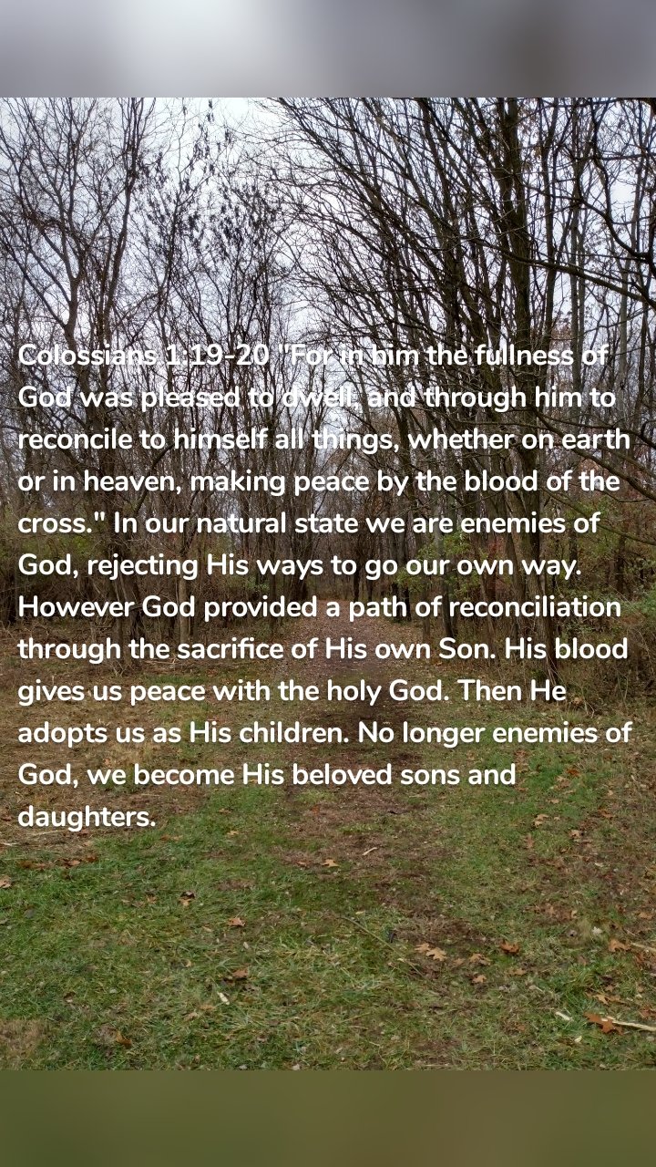Colossians 1:19-20 "For in him the fullness of God was pleased to dwell, and through him to reconcile to himself all things, whether on earth or in heaven, making peace by the blood of the cross." In our natural state we are enemies of God, rejecting His ways to go our own way. However God provided a path of reconciliation through the sacrifice of His own Son. His blood gives us peace with the holy God. Then He adopts us as His children. No longer enemies of God, we become His beloved sons and daughters.