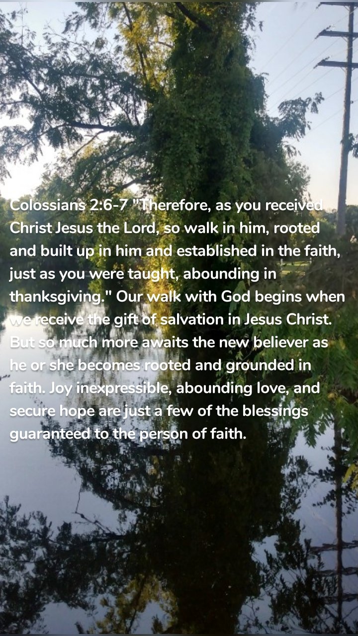 Colossians 2:6-7 "Therefore, as you received Christ Jesus the Lord, so walk in him, rooted and built up in him and established in the faith, just as you were taught, abounding in thanksgiving." Our walk with God begins when we receive the gift of salvation in Jesus Christ. But so much more awaits the new believer as he or she becomes rooted and grounded in faith. Joy inexpressible, abounding love, and secure hope are just a few of the blessings guaranteed to the person of faith.