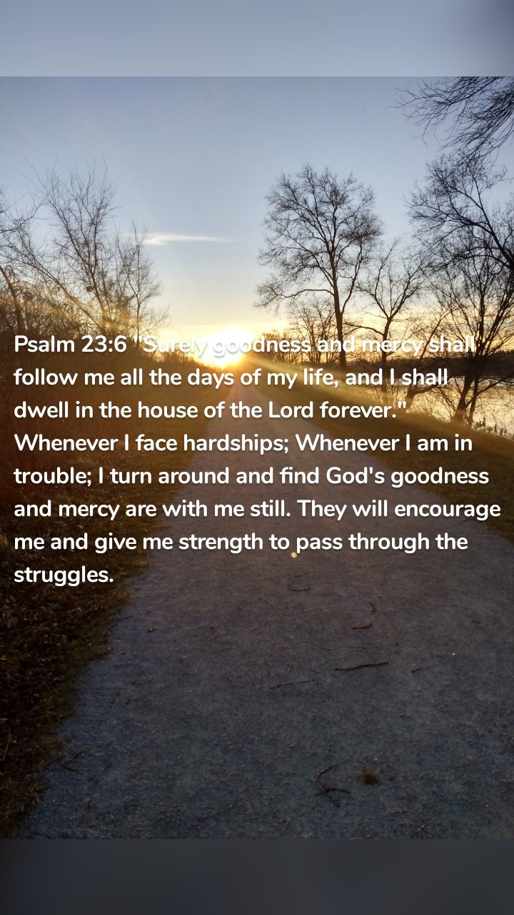 Psalm 23:6 "Surely goodness and mercy shall follow me all the days of my life, and I shall dwell in the house of the Lord forever." Whenever I face hardships; Whenever I am in trouble; I turn around and find God's goodness and mercy are with me still. They will encourage me and give me strength to pass through the struggles.