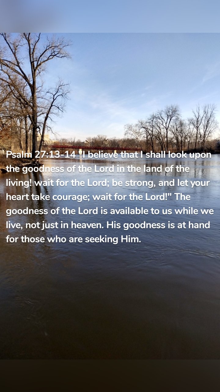 Psalm 27:13-14 "I believe that I shall look upon the goodness of the Lord in the land of the living! wait for the Lord; be strong, and let your heart take courage; wait for the Lord!" The goodness of the Lord is available to us while we live, not just in heaven. His goodness is at hand for those who are seeking Him. 
