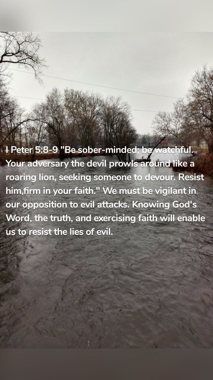 I Peter 5:8-9 "Be sober-minded; be watchful. Your adversary the devil prowls around like a roaring lion, seeking someone to devour. Resist him,firm in your faith." We must be vigilant in our opposition to evil attacks. Knowing God's Word, the truth, and exercising faith will enable us to resist the lies of evil. 