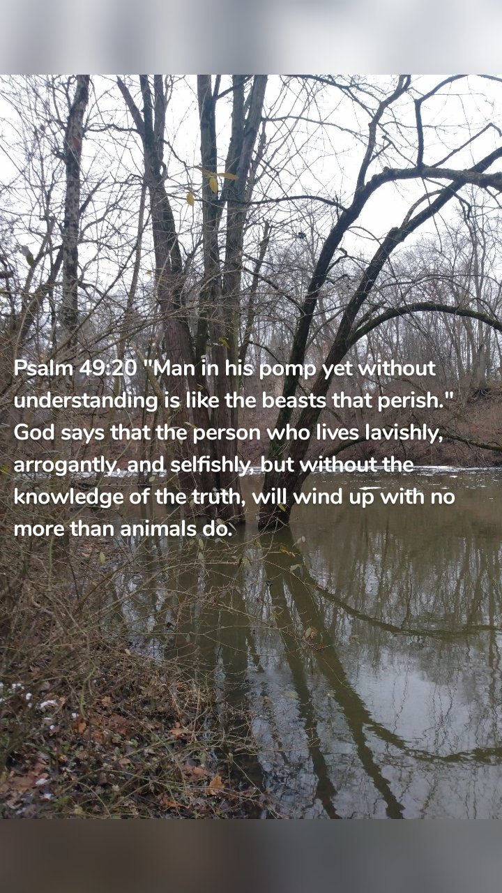 Psalm 49:20 "Man in his pomp yet without understanding is like the beasts that perish." God says that the person who lives lavishly, arrogantly, and selfishly, but without the knowledge of the truth, will wind up with no more than animals do.