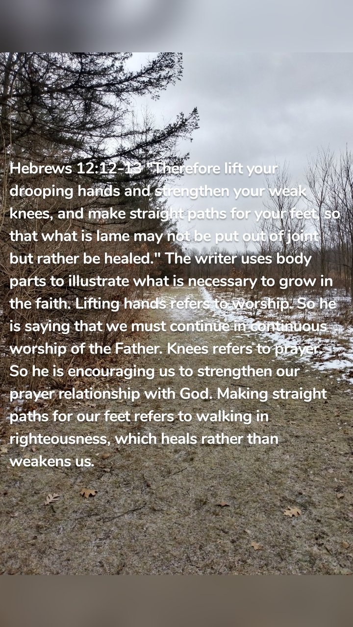 Hebrews 12:12-13 "Therefore lift your drooping hands and strengthen your weak knees, and make straight paths for your feet, so that what is lame may not be put out of joint but rather be healed." The writer uses body parts to illustrate what is necessary to grow in the faith. Lifting hands refers to worship. So he is saying that we must continue in continuous worship of the Father. Knees refers to prayer. So he is encouraging us to strengthen our prayer relationship with God. Making straight paths for our feet refers to walking in righteousness, which heals rather than weakens us.