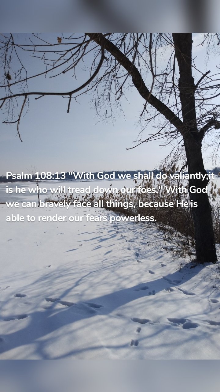 Psalm 108:13 "With God we shall do valiantly;it is he who will tread down our foes." With God we can bravely face all things, because He is able to render our fears powerless.