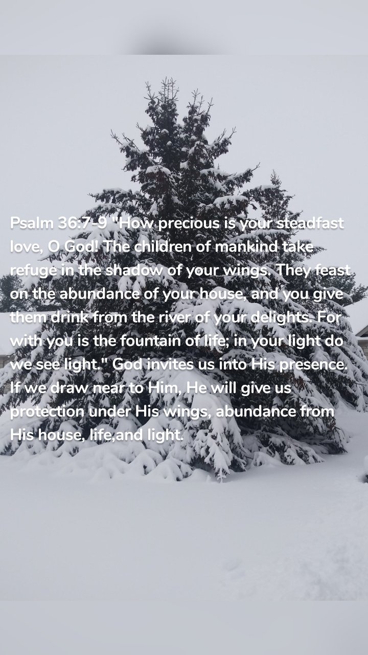 Psalm 36:7-9 "How precious is your steadfast love, O God! The children of mankind take refuge in the shadow of your wings. They feast on the abundance of your house, and you give them drink from the river of your delights. For with you is the fountain of life; in your light do we see light." God invites us into His presence. If we draw near to Him, He will give us protection under His wings, abundance from His house, life,and light. 