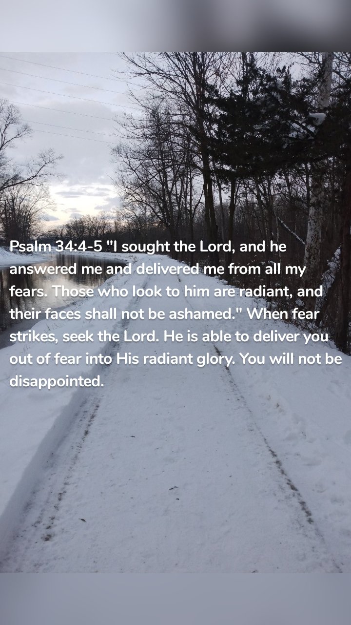 Psalm 34:4-5 "I sought the Lord, and he answered me and delivered me from all my fears. Those who look to him are radiant, and their faces shall not be ashamed." When fear strikes, seek the Lord. He is able to deliver you out of fear into His radiant glory. You will not be disappointed. 
