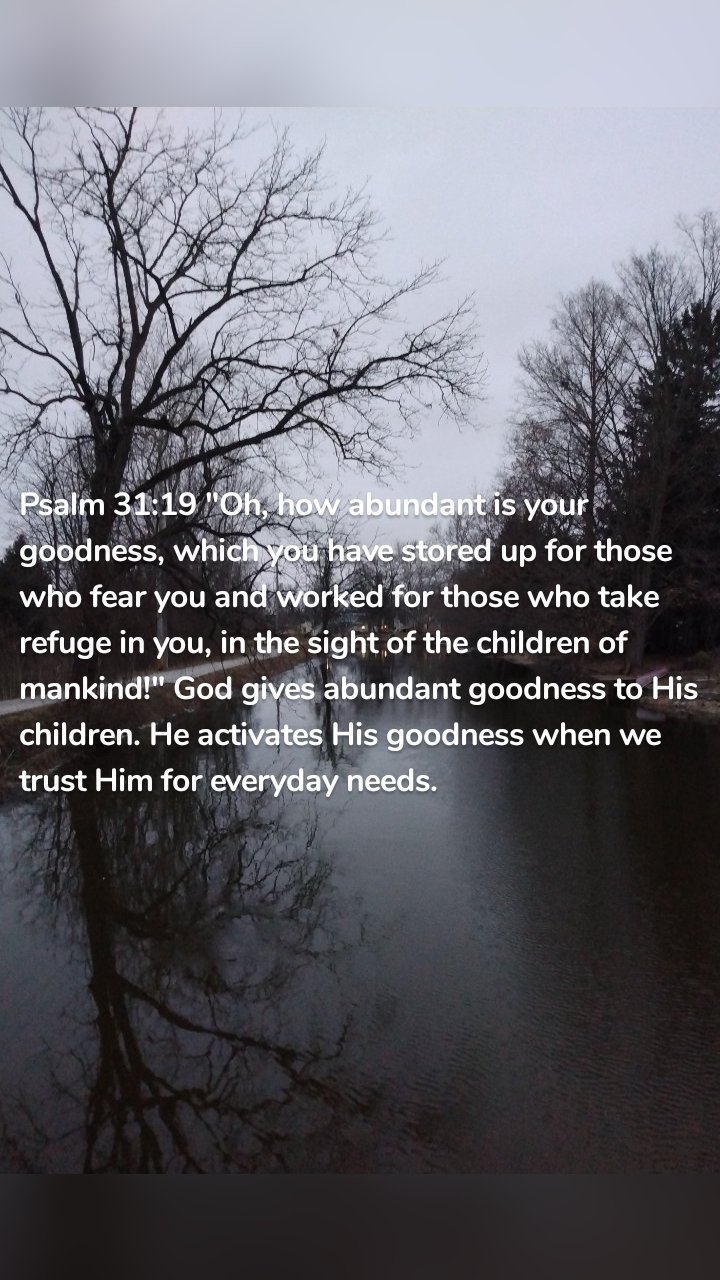 Psalm 31:19 "Oh, how abundant is your goodness, which you have stored up for those who fear you and worked for those who take refuge in you, in the sight of the children of mankind!" God gives abundant goodness to His children. He activates His goodness when we trust Him for everyday needs. 