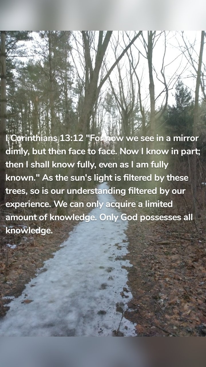 I Corinthians 13:12 "For now we see in a mirror dimly, but then face to face. Now I know in part; then I shall know fully, even as I am fully known." As the sun's light is filtered by these trees, so is our understanding filtered by our experience. We can only acquire a limited amount of knowledge. Only God possesses all knowledge. 