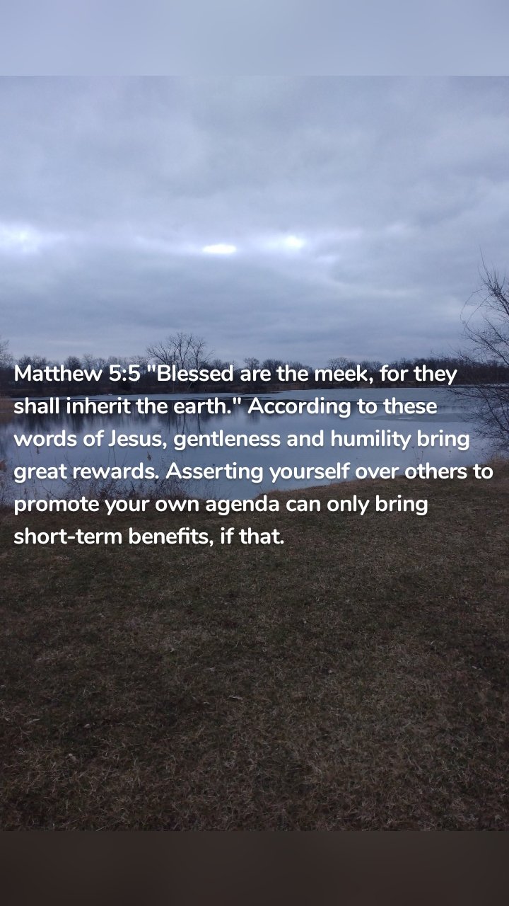 Matthew 5:5 "Blessed are the meek, for they shall inherit the earth." According to these words of Jesus, gentleness and humility bring great rewards. Asserting yourself over others to promote your own agenda can only bring short-term benefits, if that. 