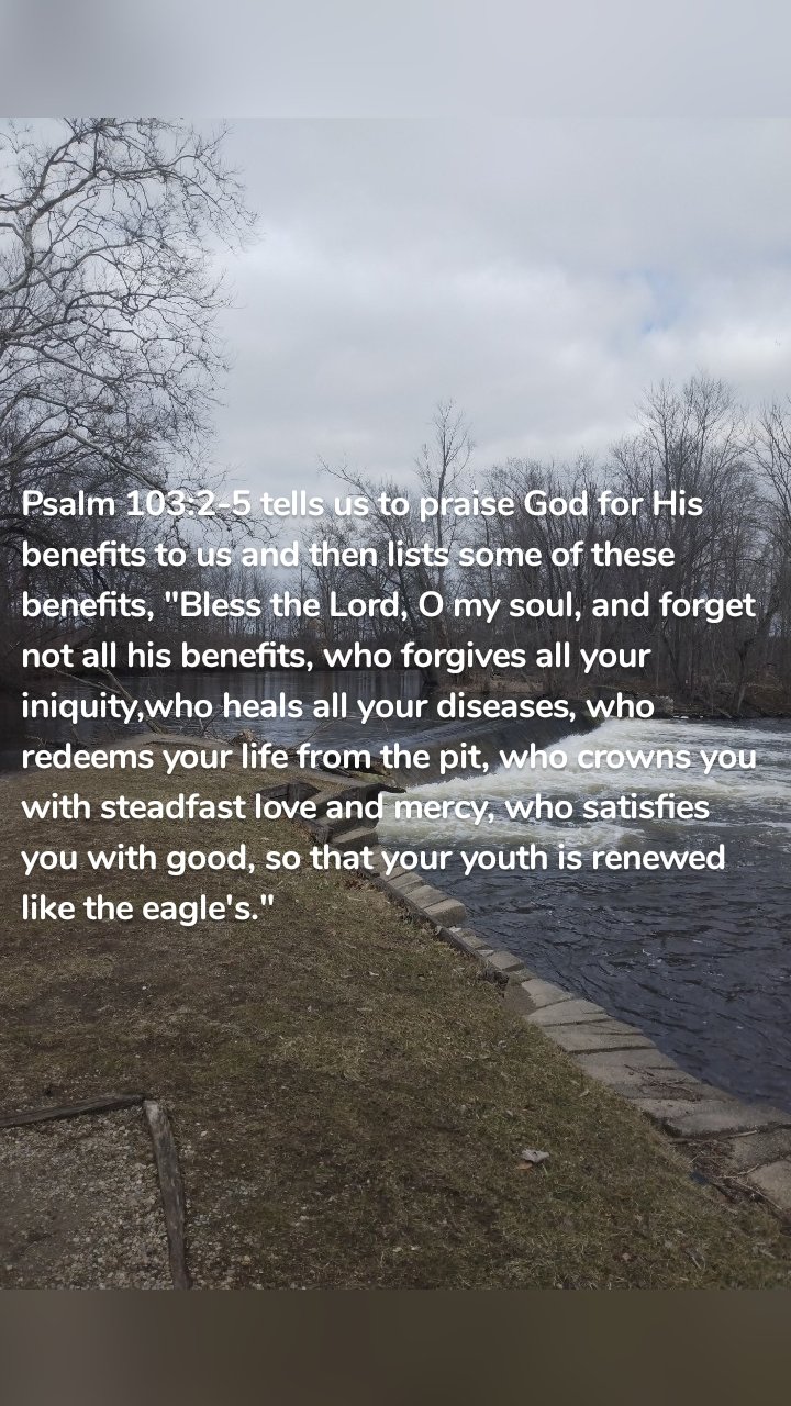 Psalm 103:2-5 tells us to praise God for His benefits to us and then lists some of these benefits, "Bless the Lord, O my soul, and forget not all his benefits, who forgives all your iniquity,who heals all your diseases, who redeems your life from the pit, who crowns you with steadfast love and mercy, who satisfies you with good, so that your youth is renewed like the eagle's."