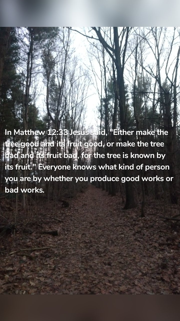 In Matthew 12:33 Jesus said, "Either make the tree good and its fruit good, or make the tree bad and its fruit bad, for the tree is known by its fruit." Everyone knows what kind of person you are by whether you produce good works or bad works. 