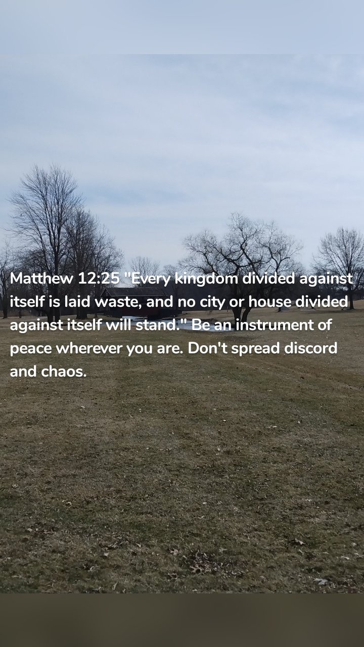 Matthew 12:25 "Every kingdom divided against itself is laid waste, and no city or house divided against itself will stand." Be an instrument of peace wherever you are. Don't spread discord and chaos. 