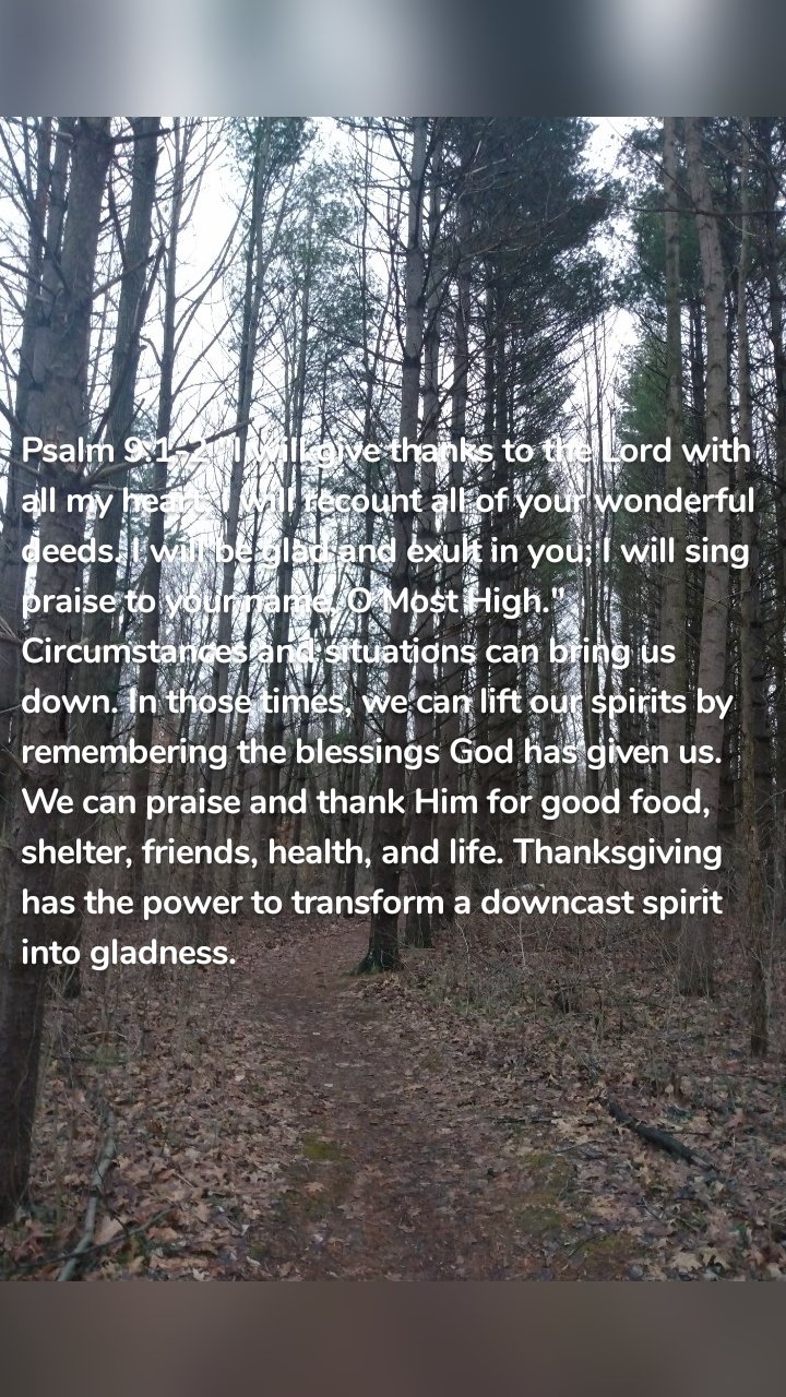 Psalm 9:1-2 "I will give thanks to the Lord with all my heart; I will recount all of your wonderful deeds. I will be glad and exult in you; I will sing praise to your name, O Most High." Circumstances and situations can bring us down. In those times, we can lift our spirits by remembering the blessings God has given us. We can praise and thank Him for good food, shelter, friends, health, and life. Thanksgiving has the power to transform a downcast spirit into gladness.