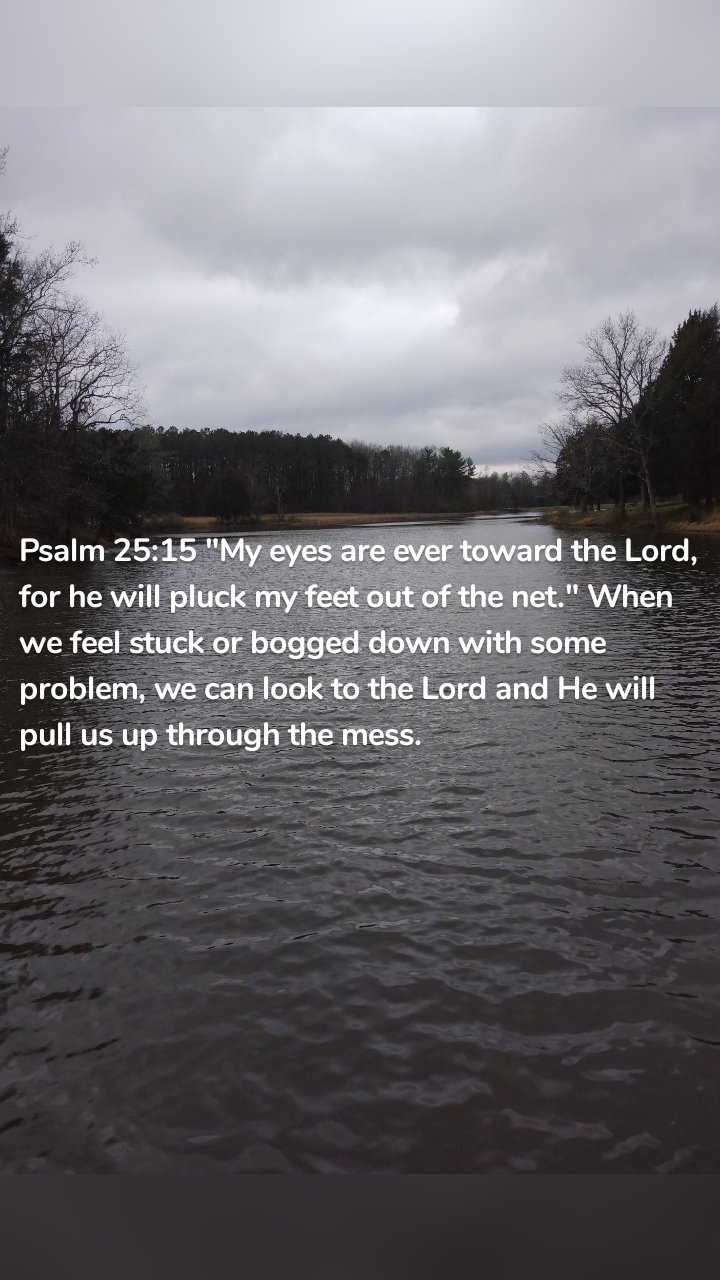Psalm 25:15 "My eyes are ever toward the Lord, for he will pluck my feet out of the net." When we feel stuck or bogged down with some problem, we can look to the Lord and He will pull us up through the mess.