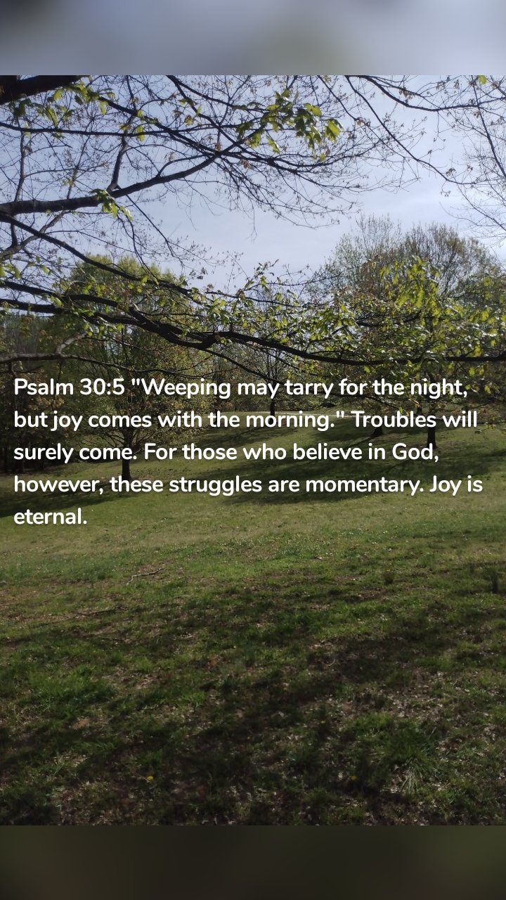 Psalm 30:5 "Weeping may tarry for the night, but joy comes with the morning." Troubles will surely come. For those who believe in God, however, these struggles are momentary. Joy is eternal. 