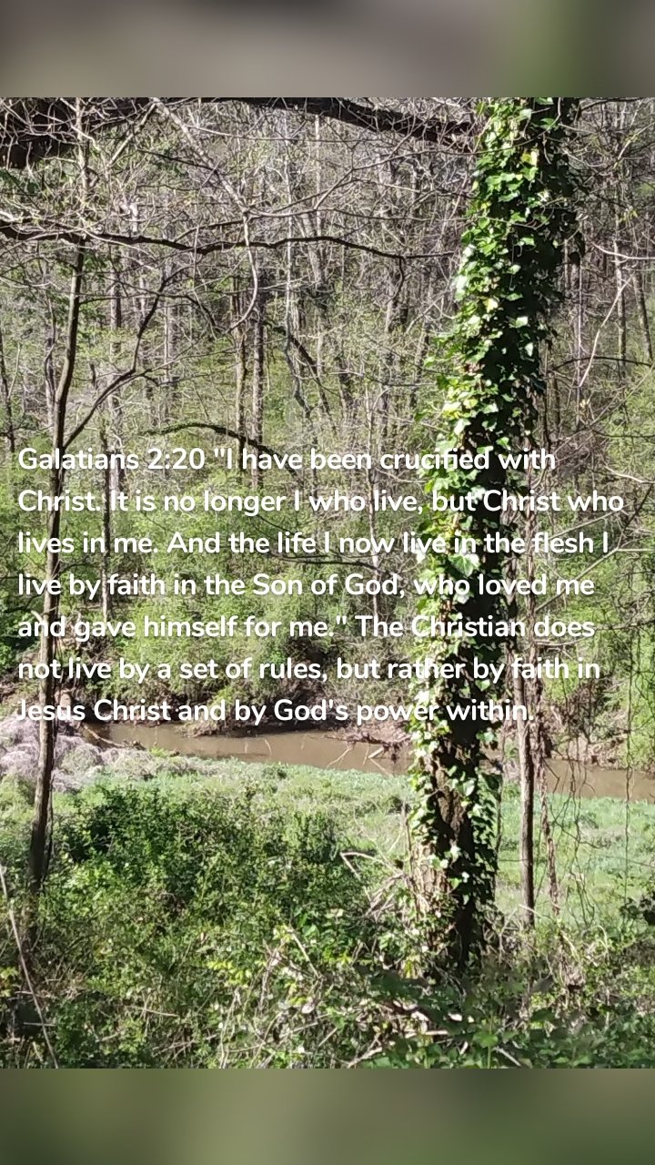 Galatians 2:20 "I have been crucified with Christ. It is no longer I who live, but Christ who lives in me. And the life I now live in the flesh I live by faith in the Son of God, who loved me and gave himself for me." The Christian does not live by a set of rules, but rather by faith in Jesus Christ and by God's power within.