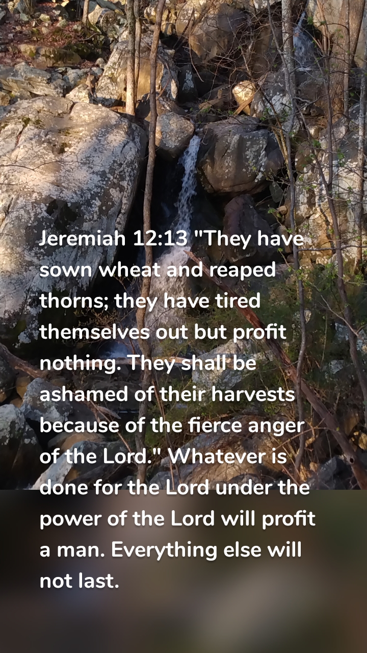 Jeremiah 12:13 "They have sown wheat and reaped thorns; they have tired themselves out but profit nothing. They shall be ashamed of their harvests because of the fierce anger of the Lord." Whatever is done for the Lord under the power of the Lord will profit a man. Everything else will not last.
