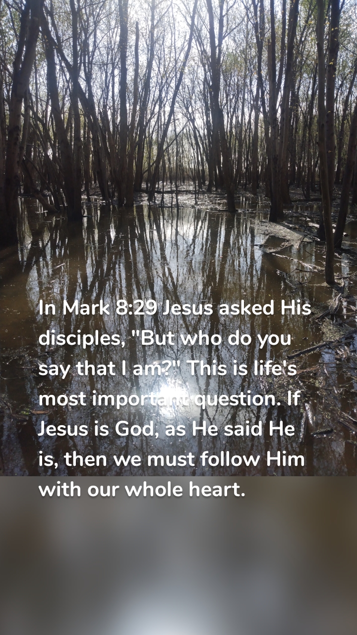 In Mark 8:29 Jesus asked His disciples, "But who do you say that I am?" This is life's most important question. If Jesus is God, as He said He is, then we must follow Him with our whole heart. 
