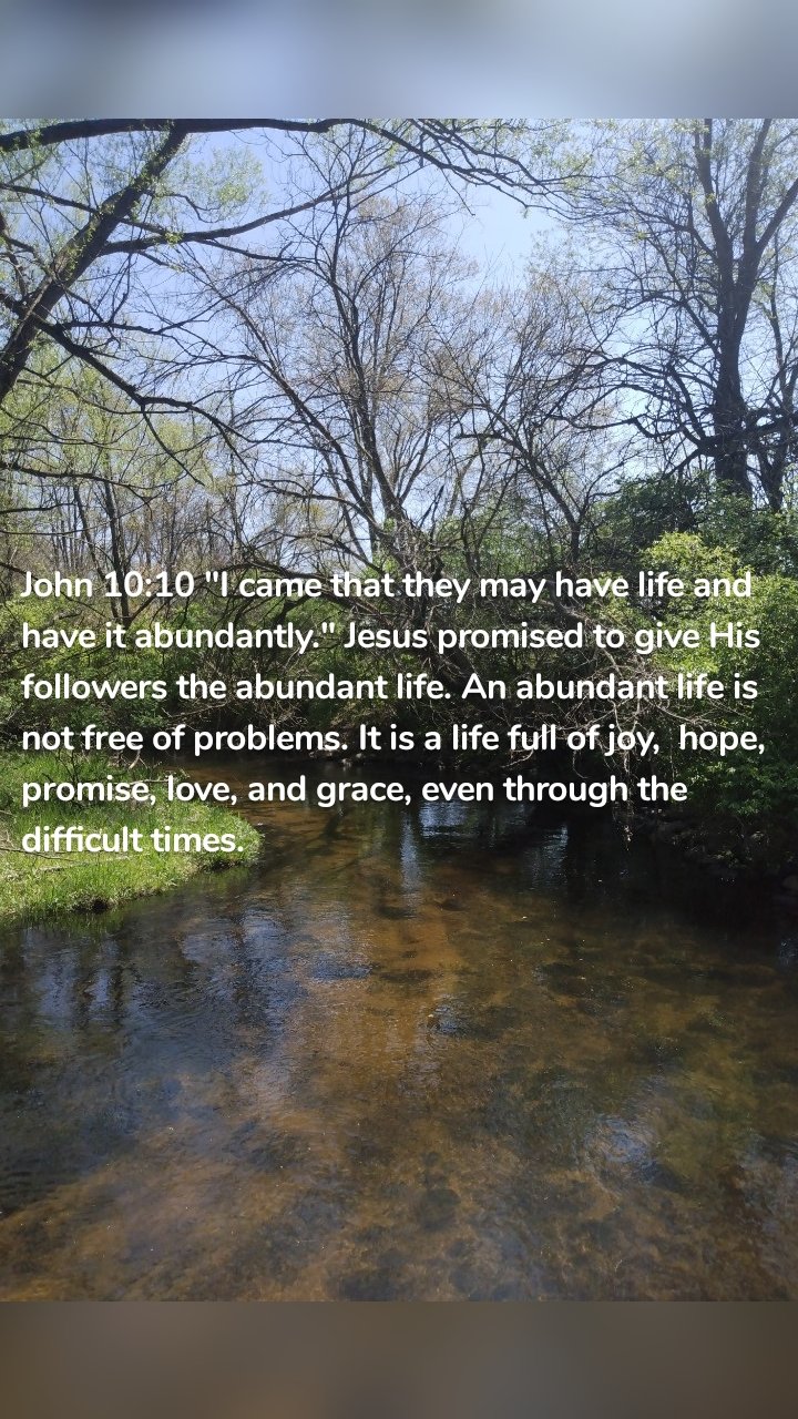 John 10:10 "I came that they may have life and have it abundantly." Jesus promised to give His followers the abundant life. An abundant life is not free of problems. It is a life full of joy,  hope,  promise, love, and grace, even through the difficult times. 